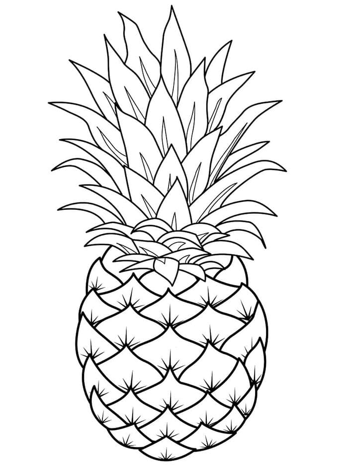Ananas k Tisku omalovánka