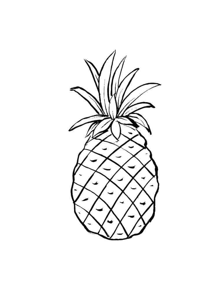 Ananas pro 4leté Děti omalovánka