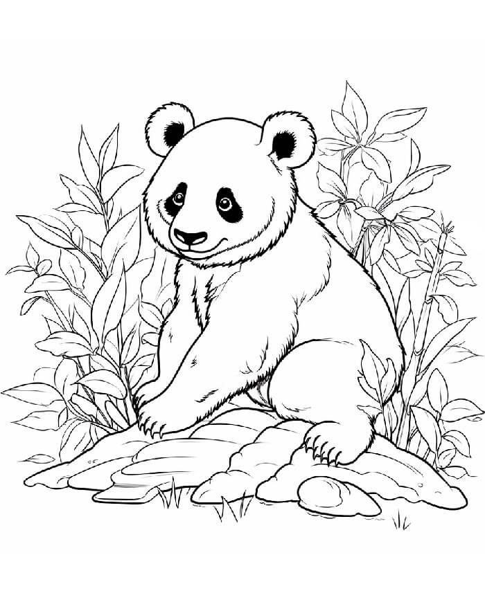 Animovaná Panda omalovánka