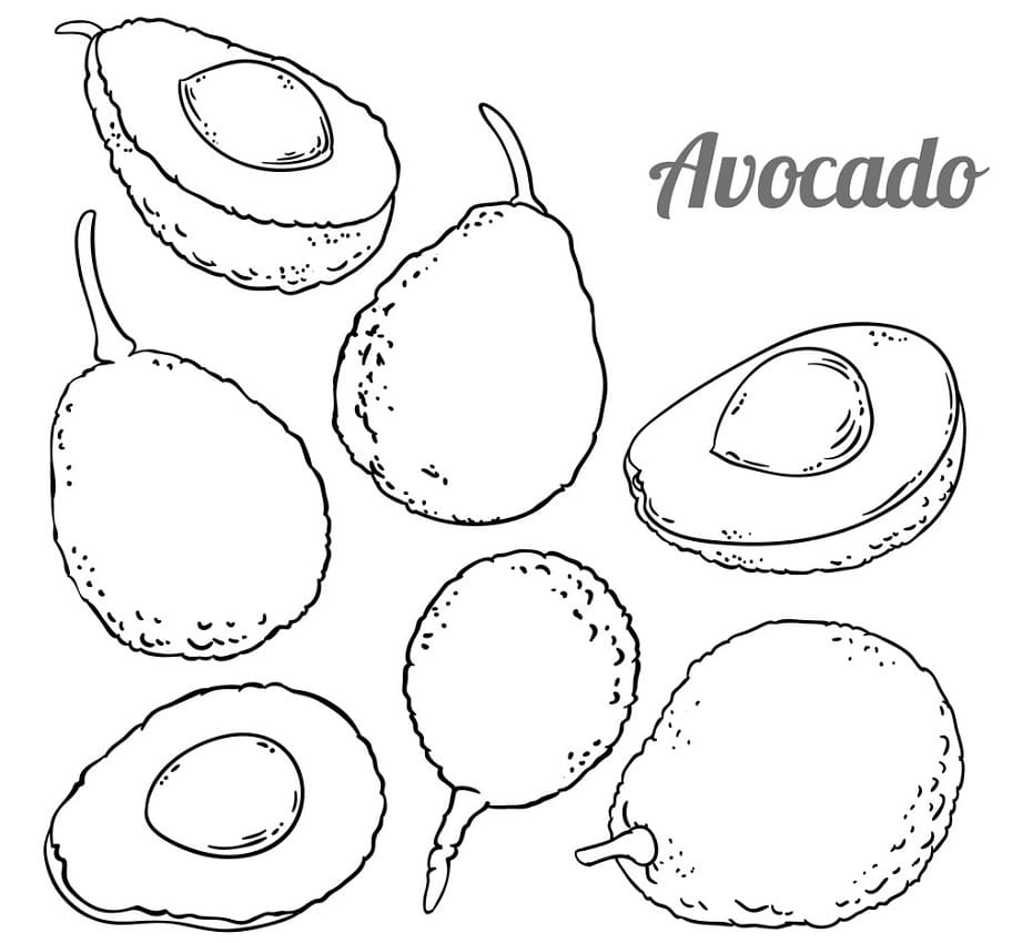 Avokádo (5) omalovánka