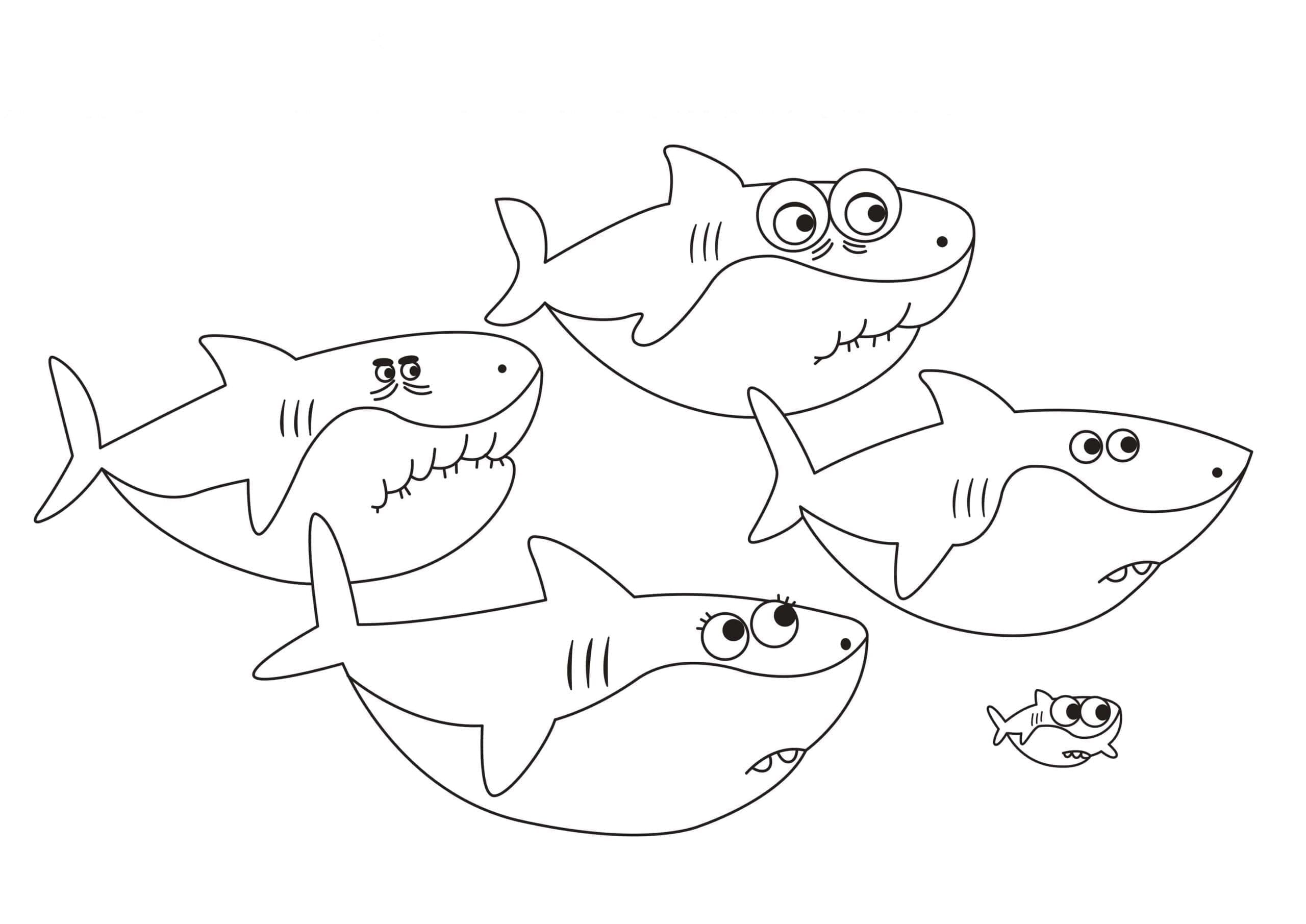 Baby Shark (1) omalovánka