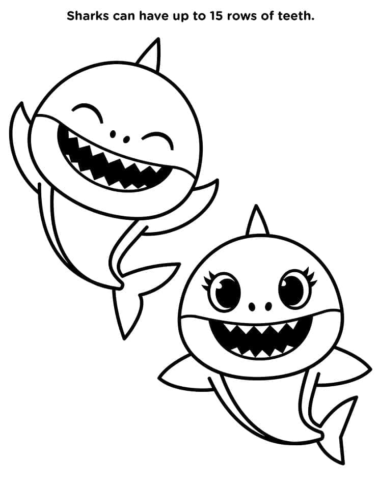 Baby Shark Zdarma Vymalovatelné Obrázek omalovánka