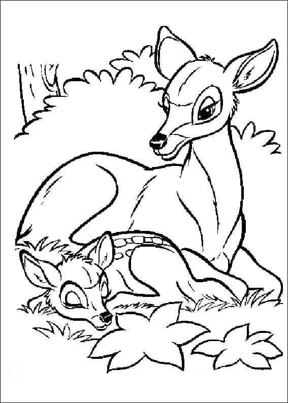Bambi Obrázek omalovánka