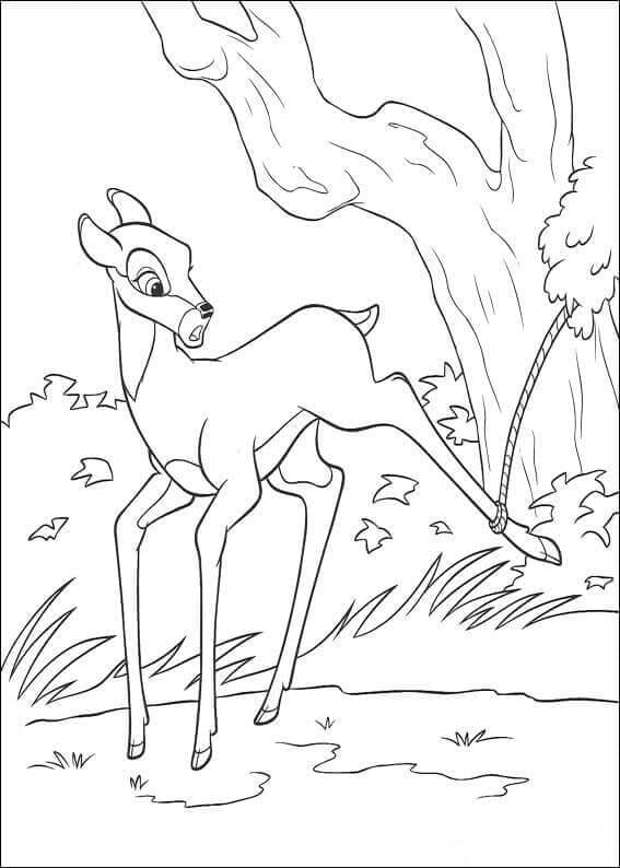 Bambi Zdarma Tisknutelný omalovánka