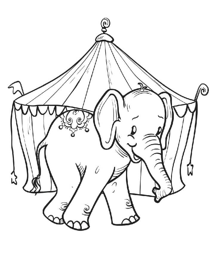 Cirkus Tisknutelný pro Děti omalovánka