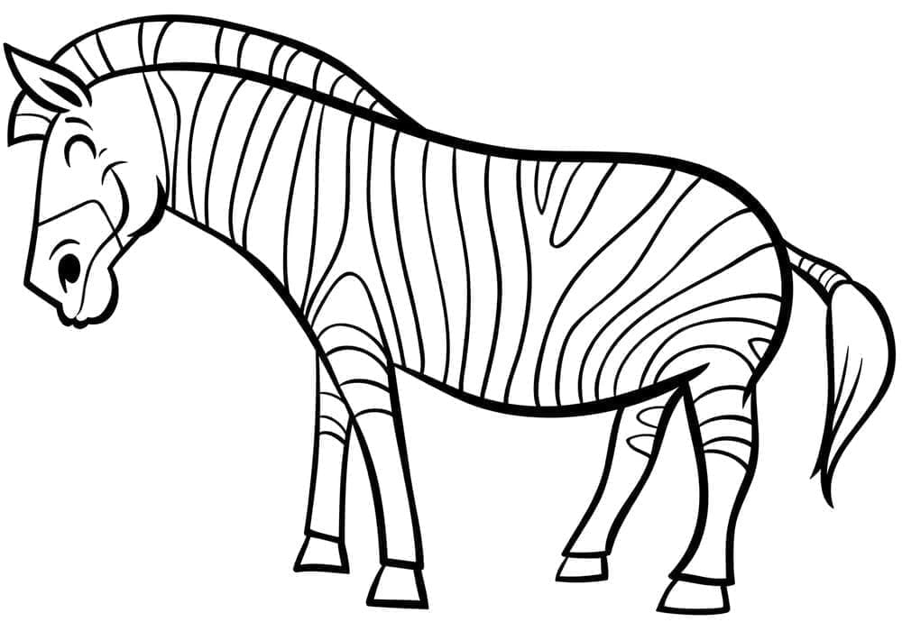 Divoká Zebra omalovánka