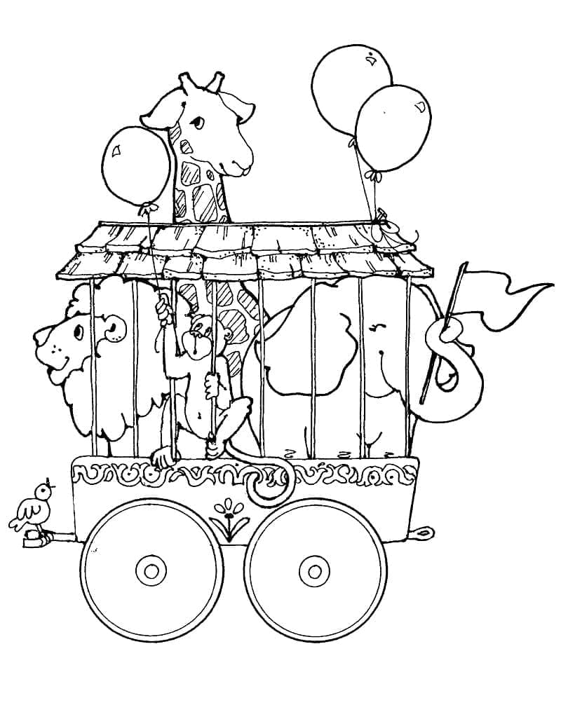 Dokonalý Cirkus omalovánka