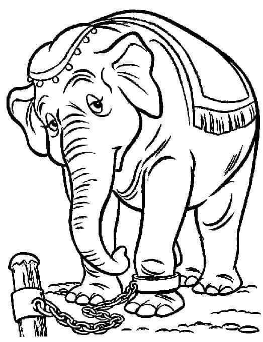 Dumbo Zdarma Tisknutelný omalovánka
