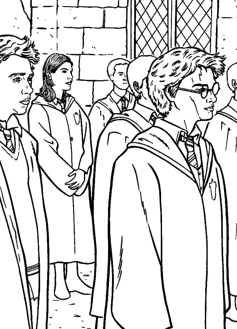 Harry Potter (6) omalovánka