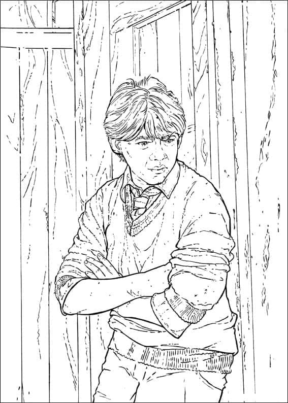 Harry Potter (8) omalovánka