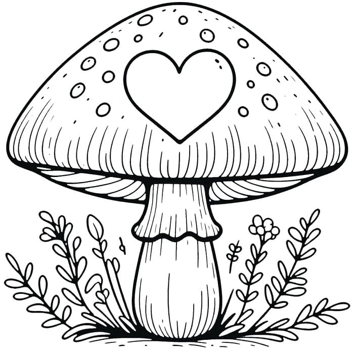 Houba Rostlina omalovánka