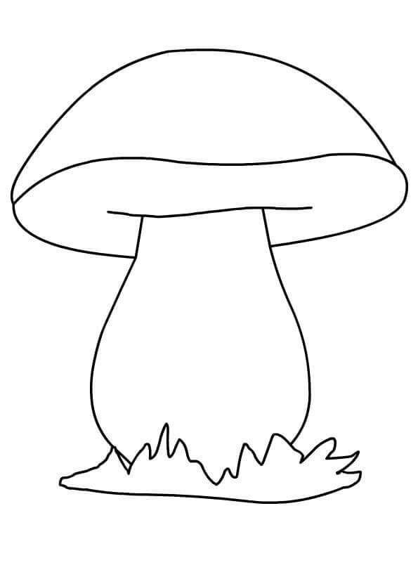 Houba Tisknutelná omalovánka
