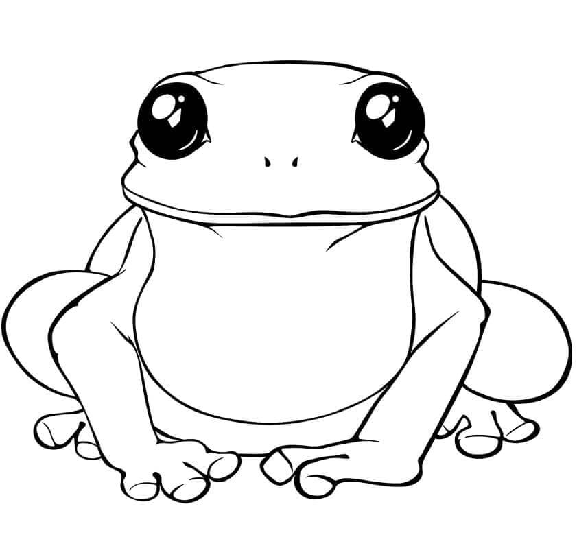 Jedna Žába omalovánka