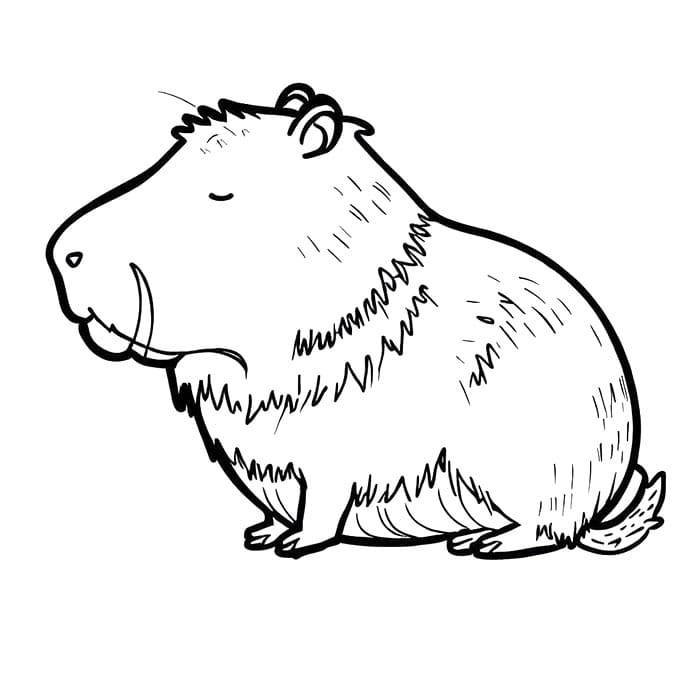Kapybara Zdarma Vymalovatelné Obrázek omalovánka