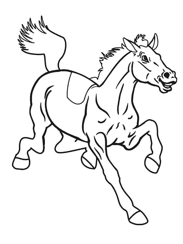 Kůň pro 4leté Děti omalovánka
