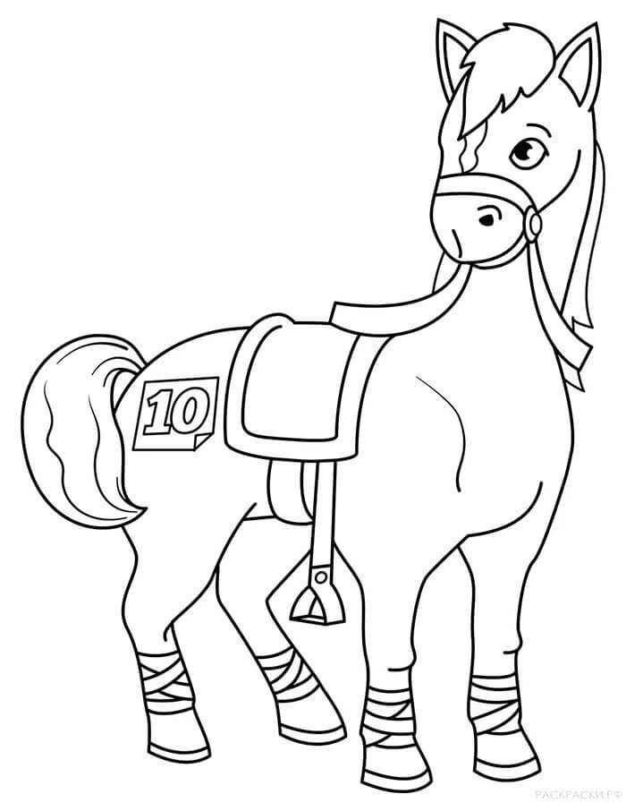 Kůň pro 6leté Děti omalovánka
