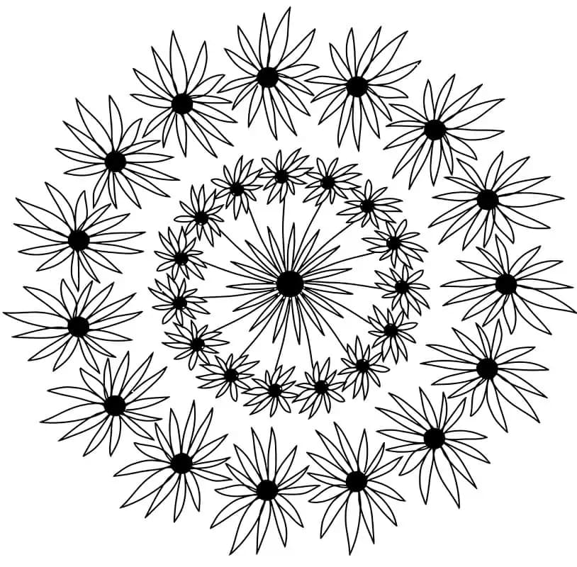 Květinová Mandala (8) omalovánka