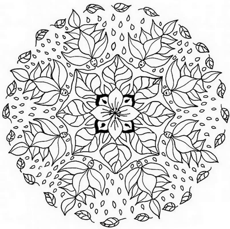 Květinová Mandala (9) omalovánka