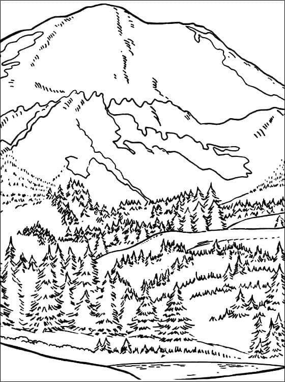 Les (6) omalovánka