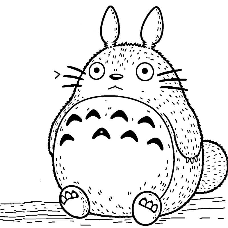 Můj Soused Totoro (13) omalovánka