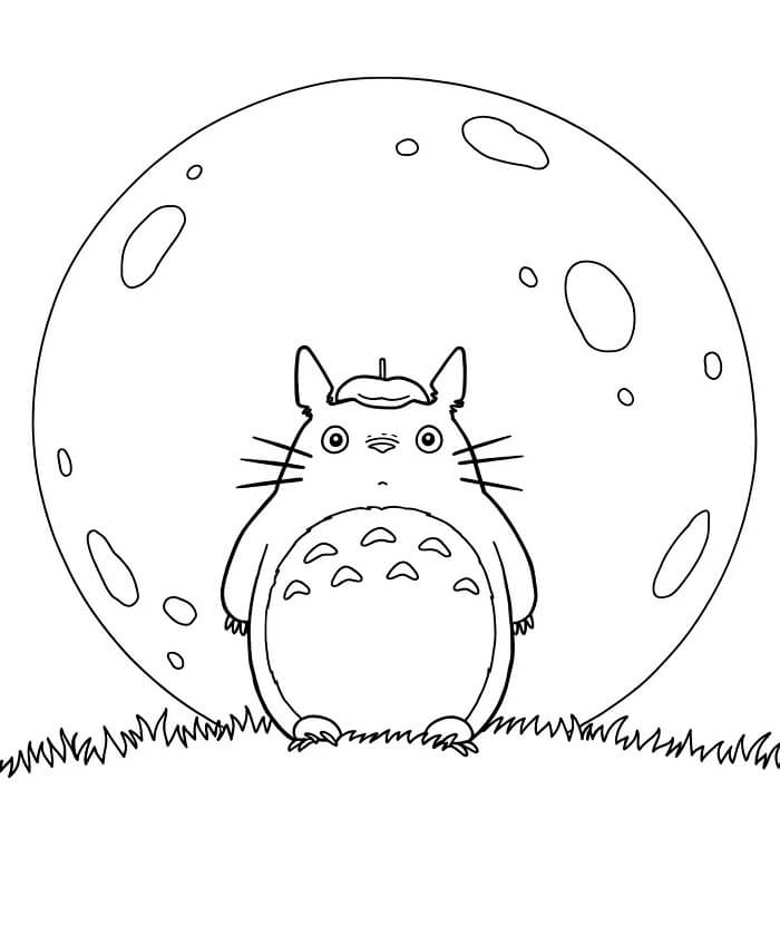 Můj Soused Totoro (26) omalovánka