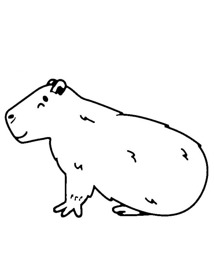 Normální Kapybara omalovánka