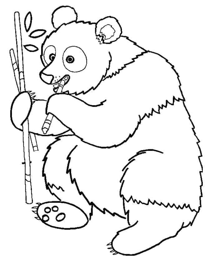 Okouzlující Panda omalovánka