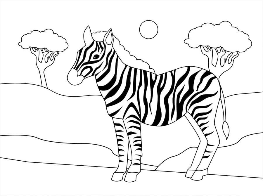 Okouzlující Zebra omalovánka