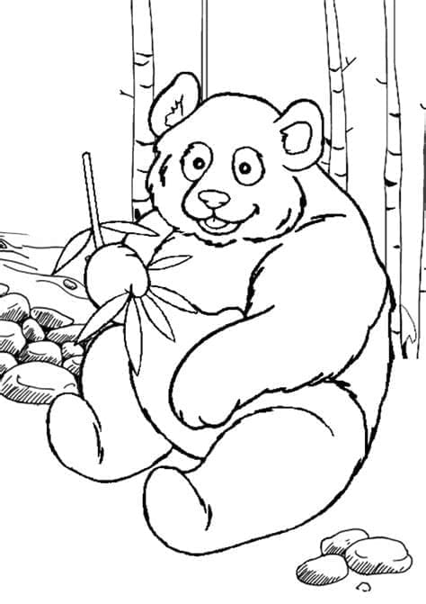 Panda Zdarma Vymalovatelné Obrázek omalovánka