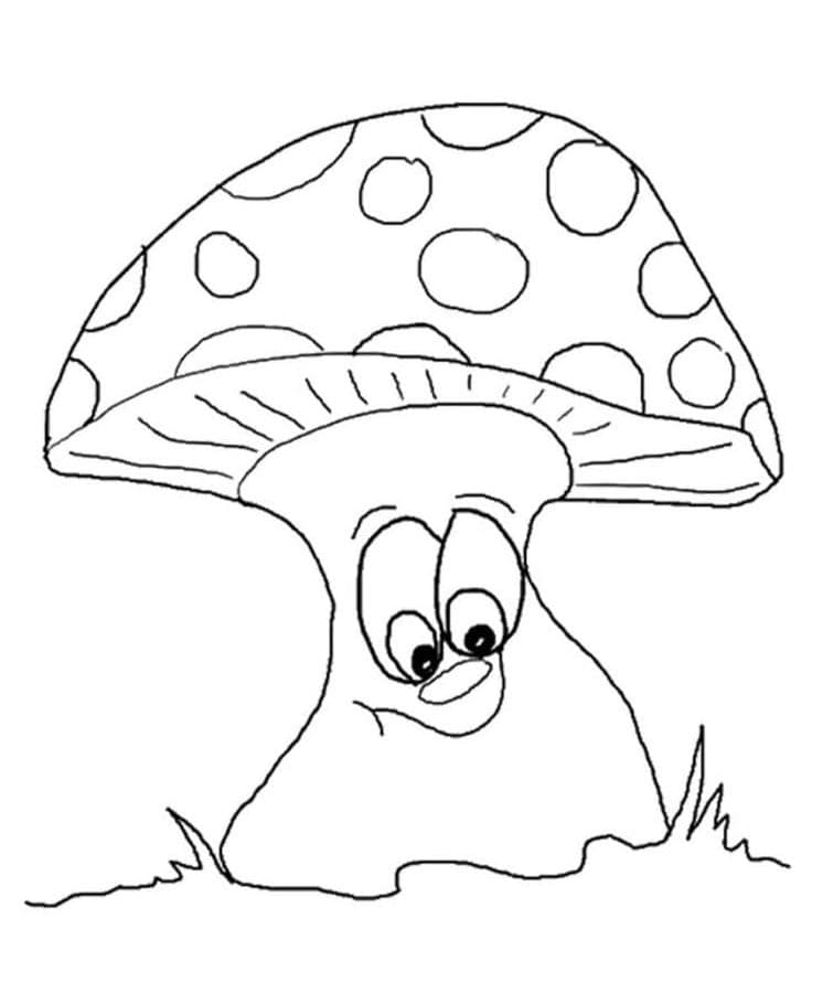 Pěkná Houba omalovánka