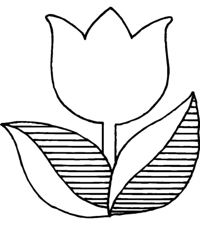 Pěkný Tulipán omalovánka