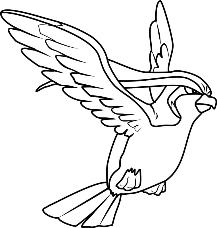 Pidgeot Pokemon omalovánka