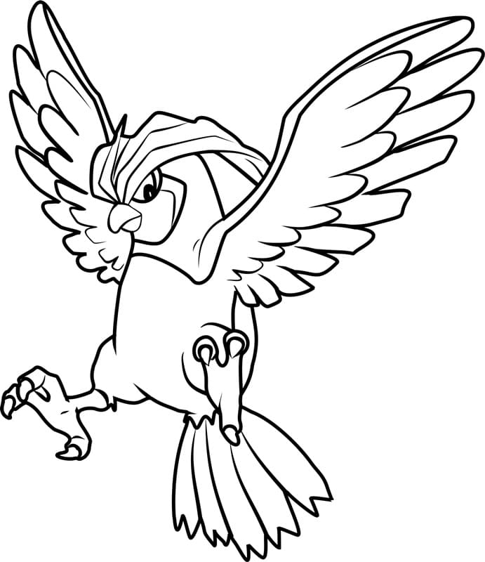 Pidgeotto Pokemon omalovánka