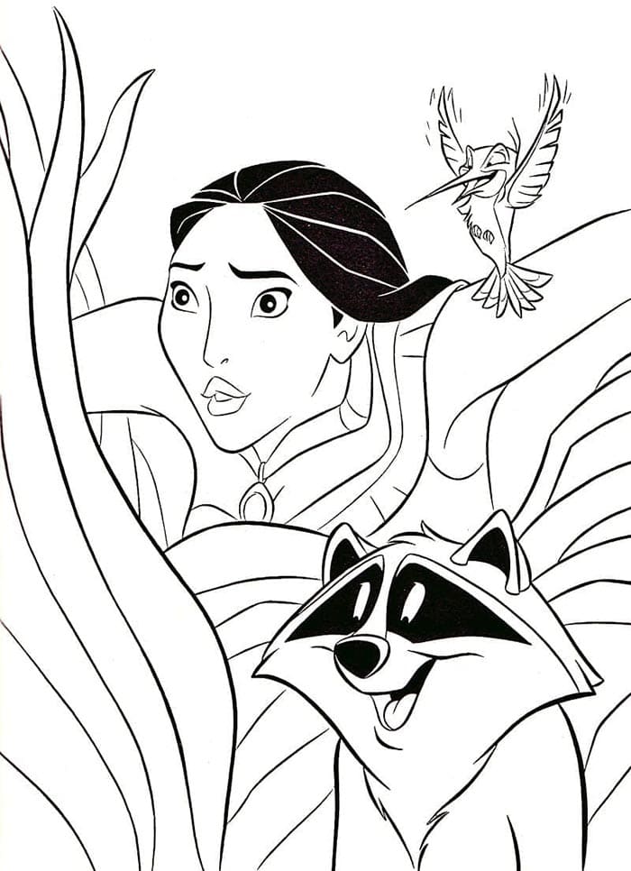 Pocahontas Zdarama omalovánka