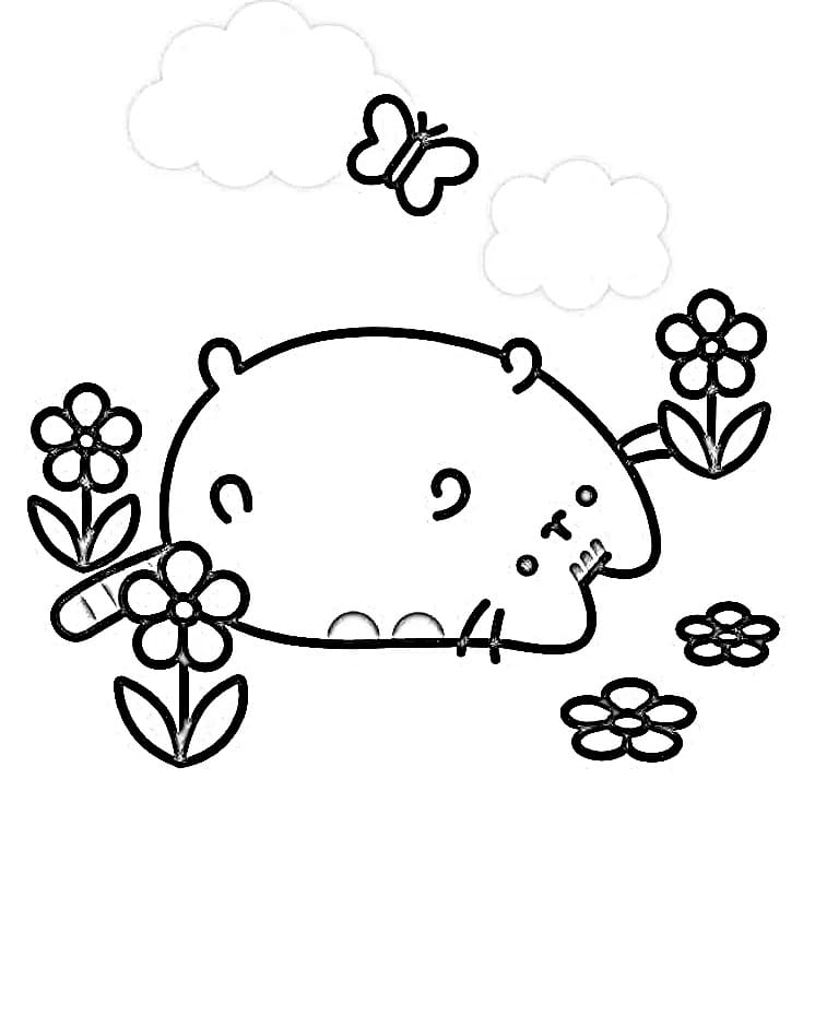 Pusheen k Vymalování omalovánka