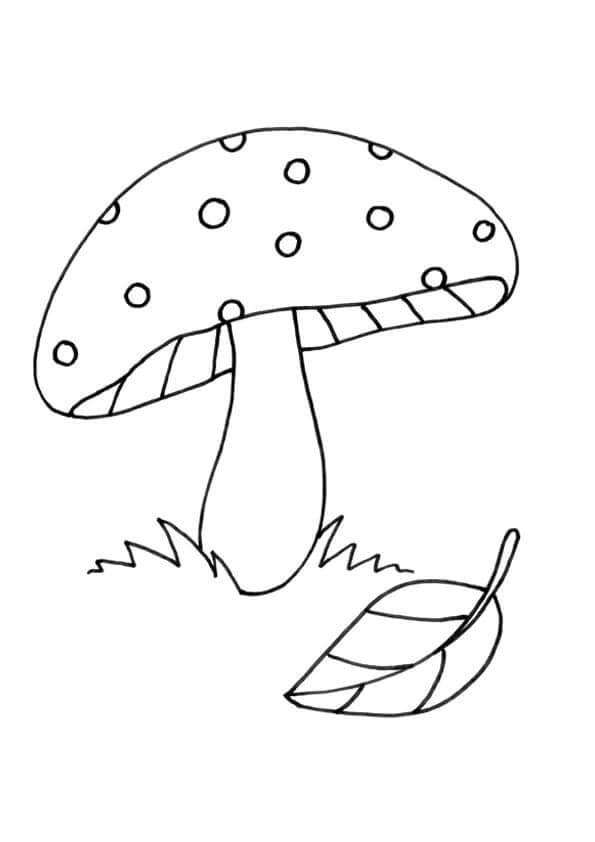 Půvabná Houba omalovánka