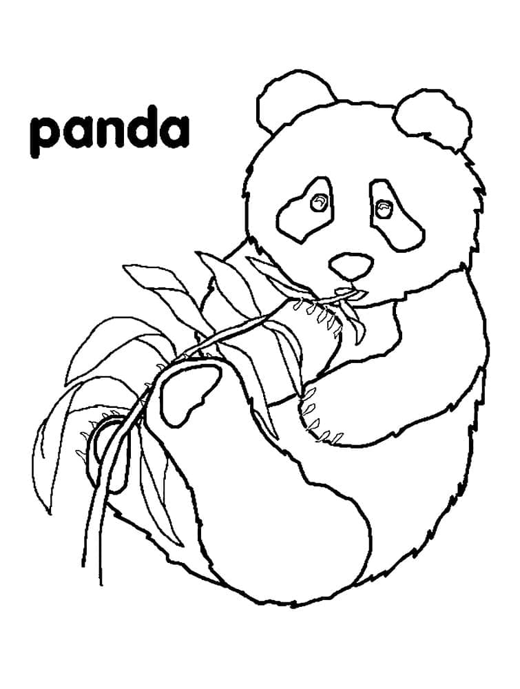 Půvabná Panda omalovánka
