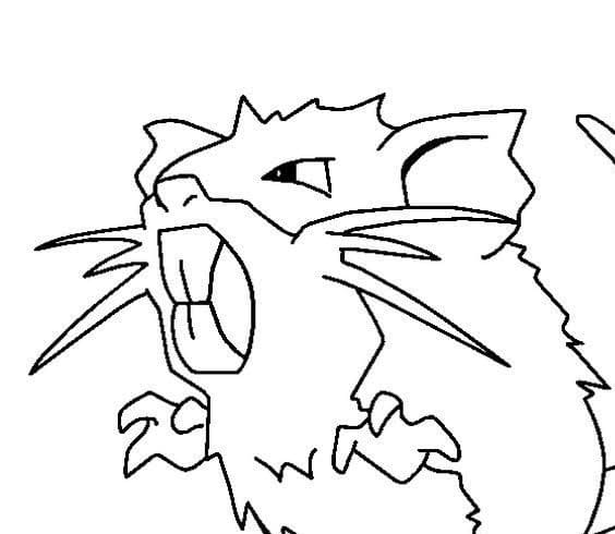 Raticate Pokemon omalovánka