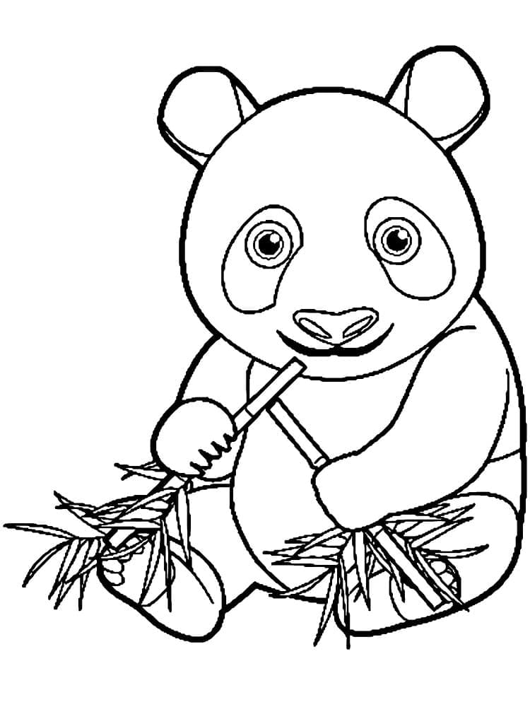 Roztomilá Panda omalovánka