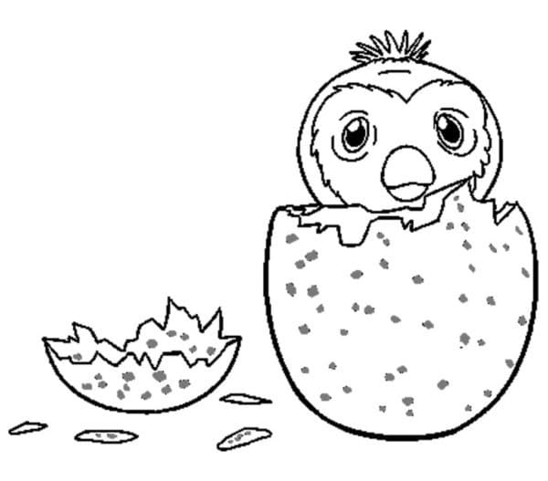 Roztomilé Hatchimals omalovánka