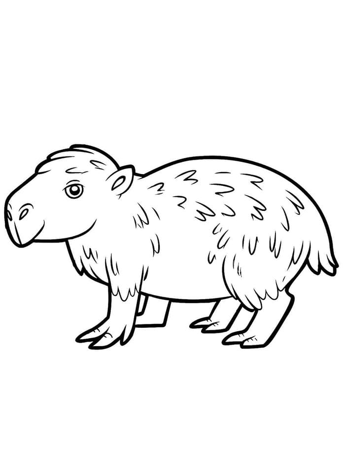 Snadný Kapybara omalovánka