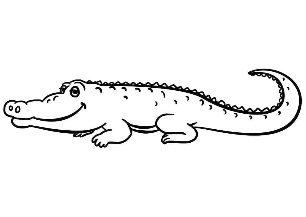 Snadný Krokodýl omalovánka
