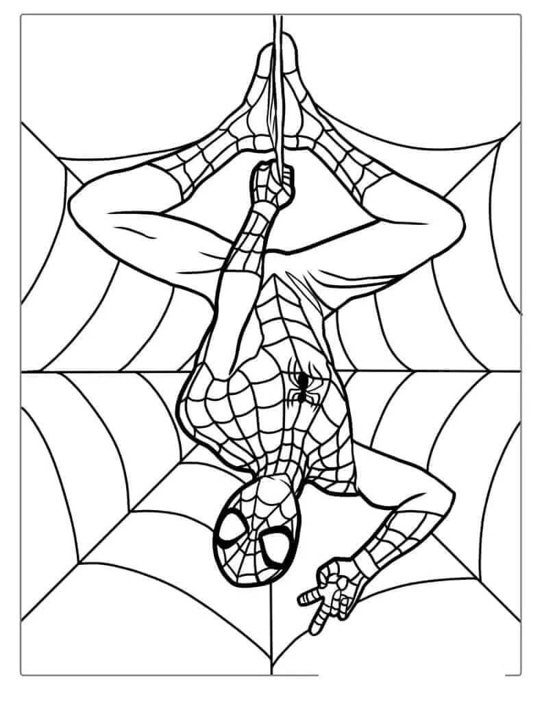 Spiderman Zdarma Tisknutelný omalovánka