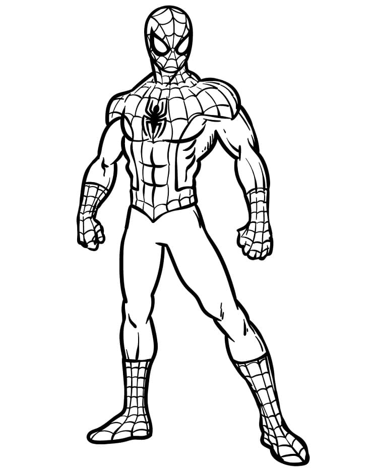Spiderman pro 4leté Děti omalovánka
