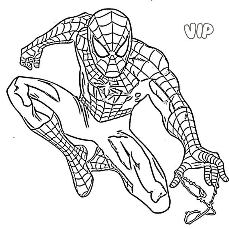 Superhrdina Spiderman Marvel omalovánka