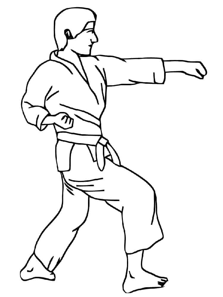 Tisk Karate omalovánka