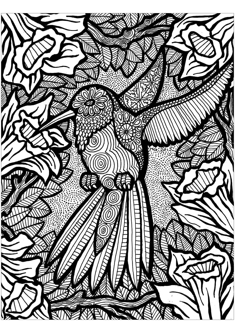 Tisk Zentangle omalovánka