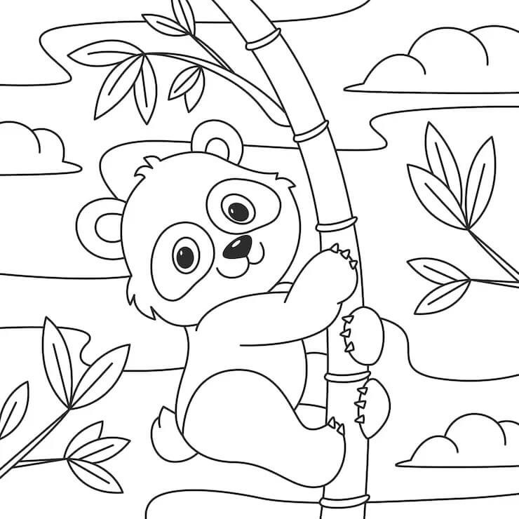 Panda omalovánky