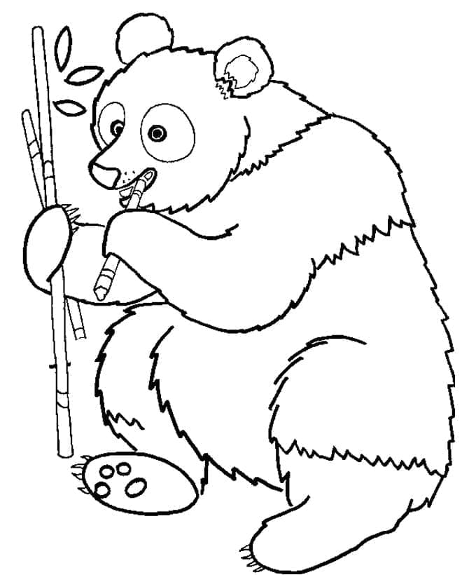 Tisknutelný Zdarma Panda omalovánka
