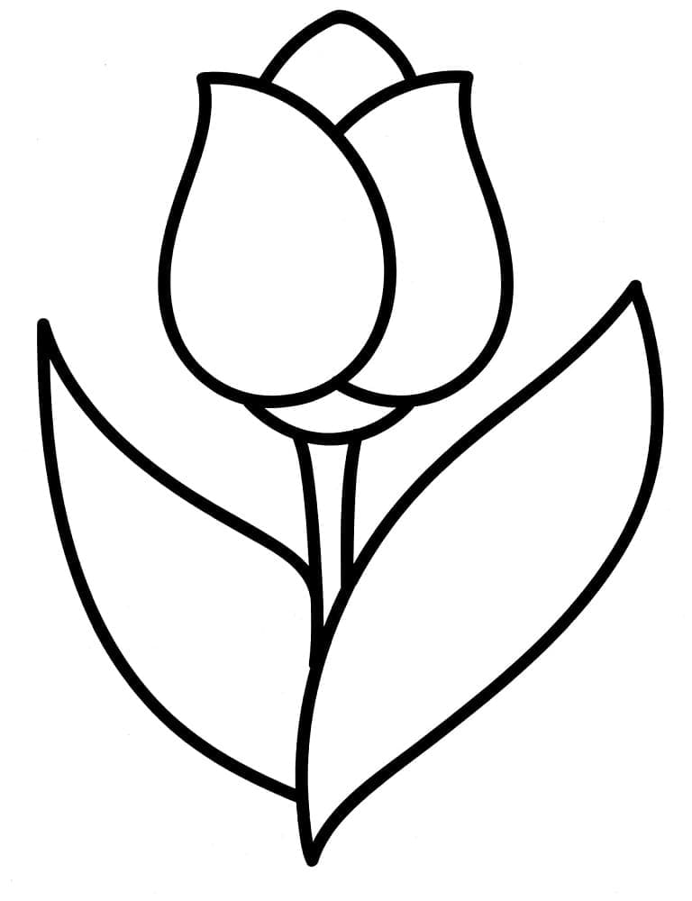 Tulipán (2) omalovánka